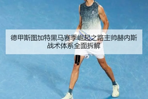 德甲斯图加特黑马赛季崛起之路主帅赫内斯战术体系全面拆解