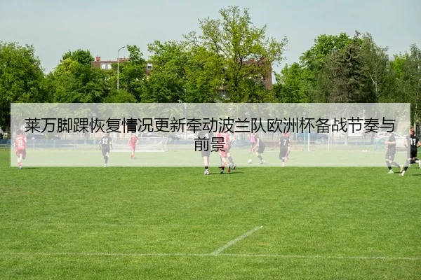 莱万脚踝恢复情况更新牵动波兰队欧洲杯备战节奏与前景